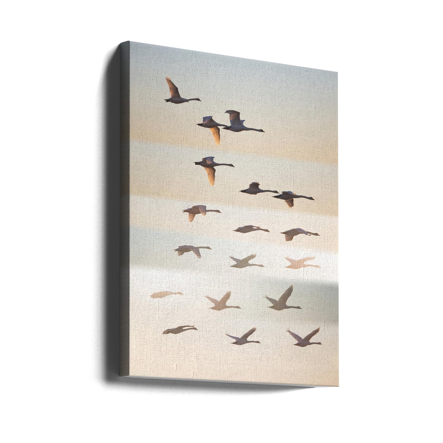 Past the sun. | Canvas