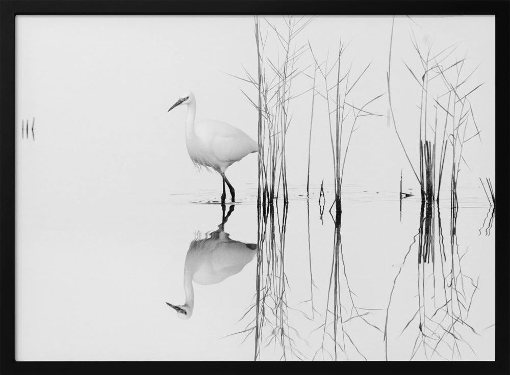 bianco | Poster - Stampe d’Arte