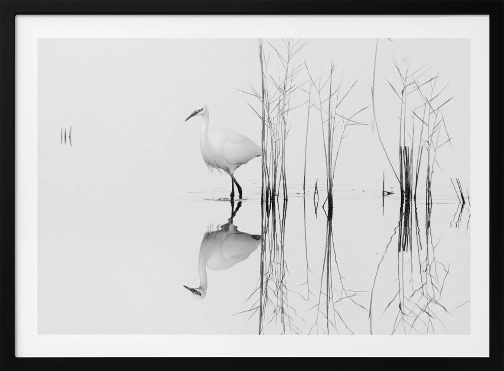 bianco | Poster - Stampe d’Arte