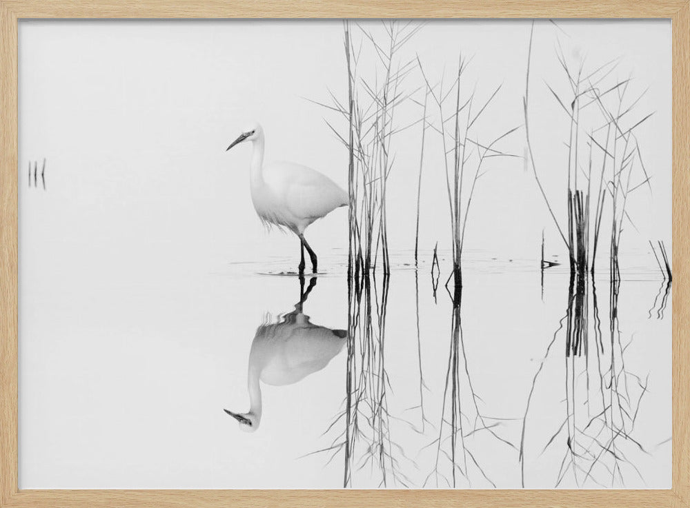 bianco | Poster - Stampe d’Arte
