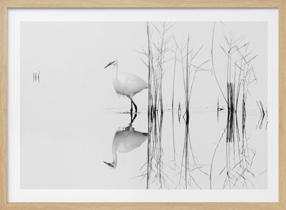 bianco | Poster - Stampe d’Arte