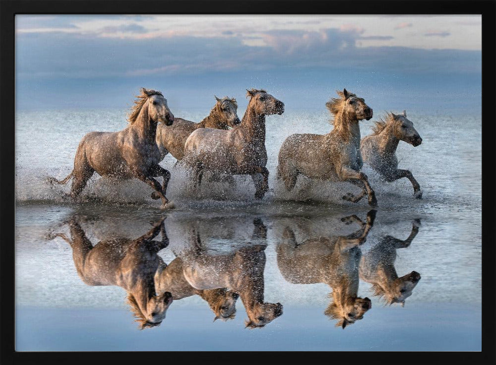 Cavalli e riflessione | Poster - Stampe d’Arte