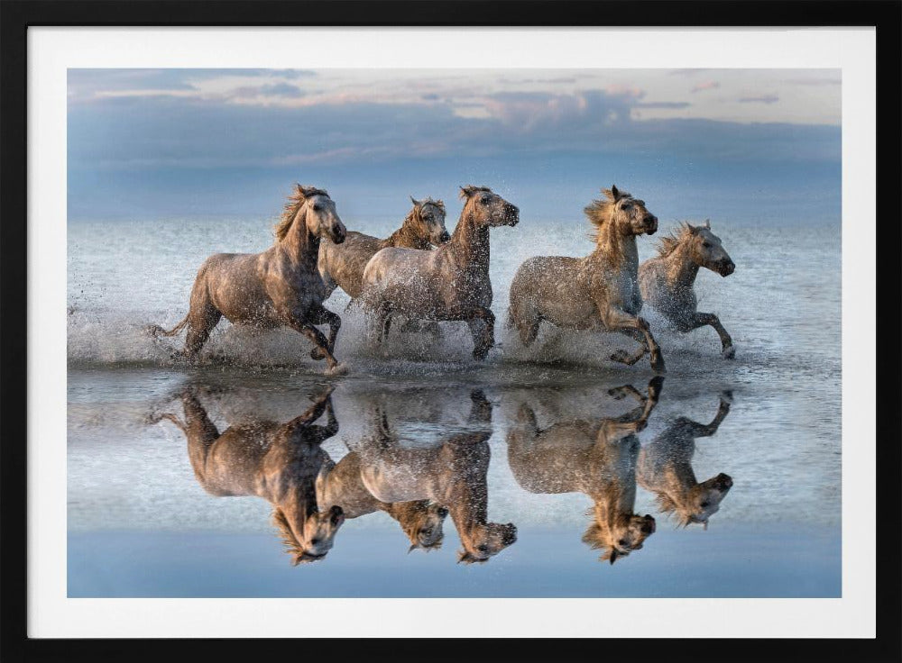 Cavalli e riflessione | Poster - Stampe d’Arte