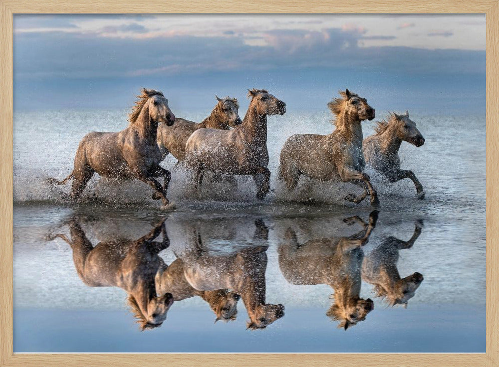 Cavalli e riflessione | Poster - Stampe d’Arte