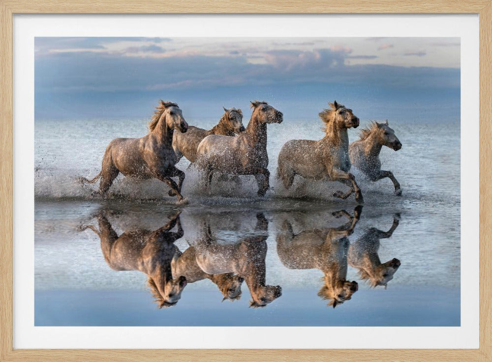 Cavalli e riflessione | Poster - Stampe d’Arte