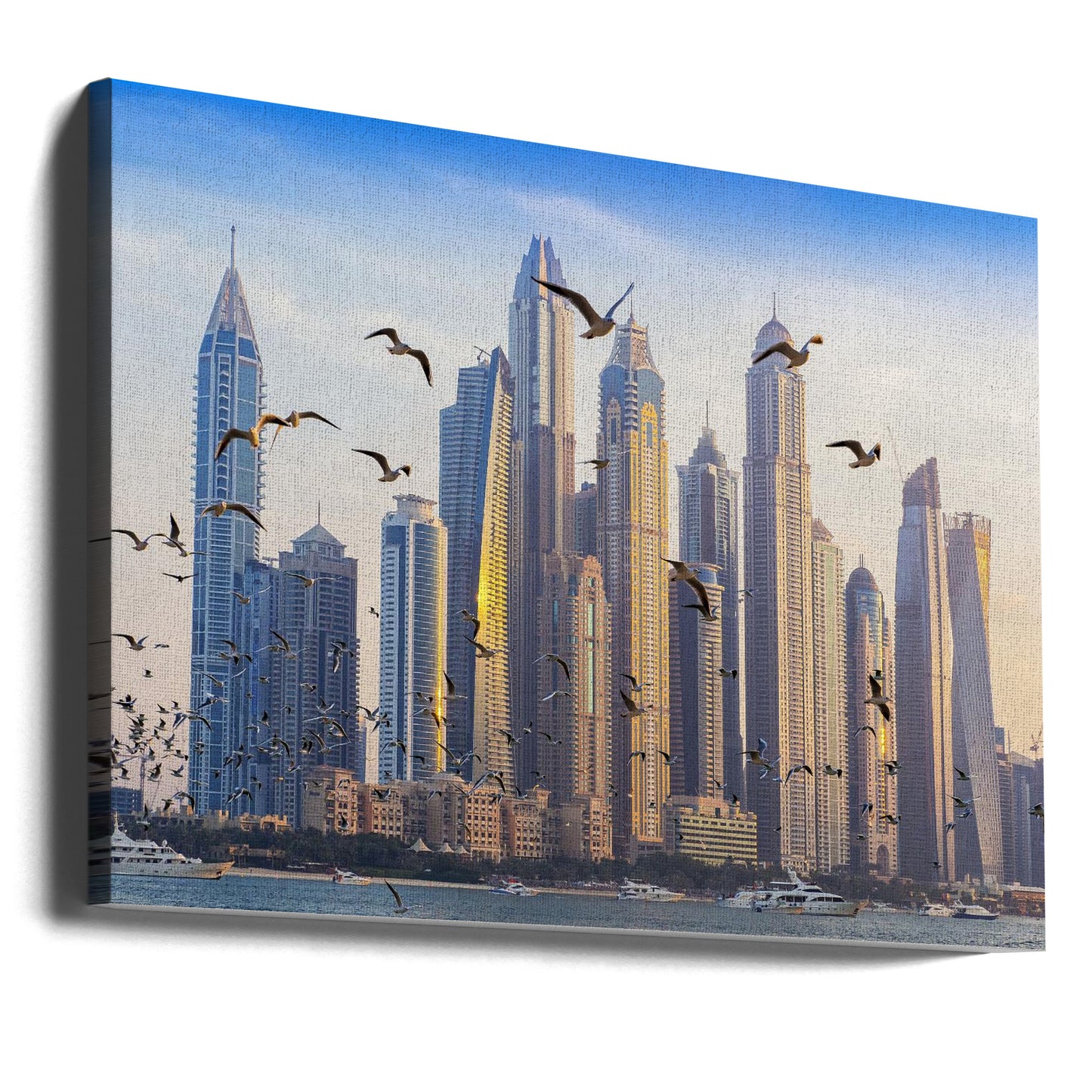 Birds view | Canvas