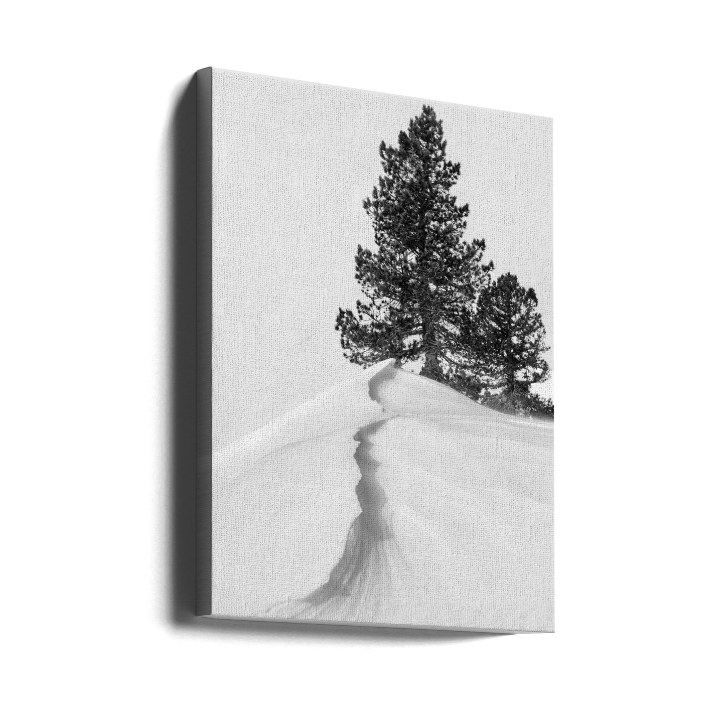 Sobre la nieve y las formas | Impresiones en Lienzo