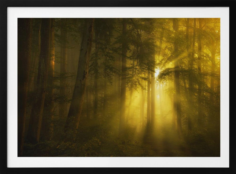 Gelb | Poster - Kunstdruck