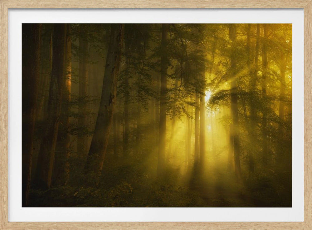 Gelb | Poster - Kunstdruck