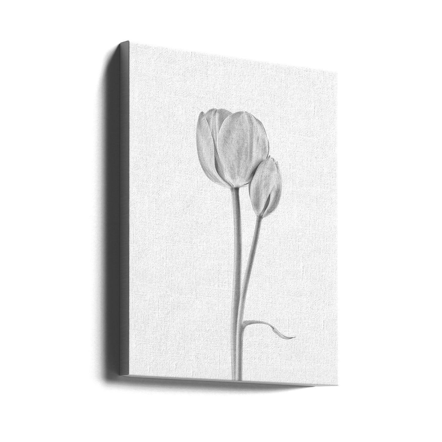 Connected | Canvas