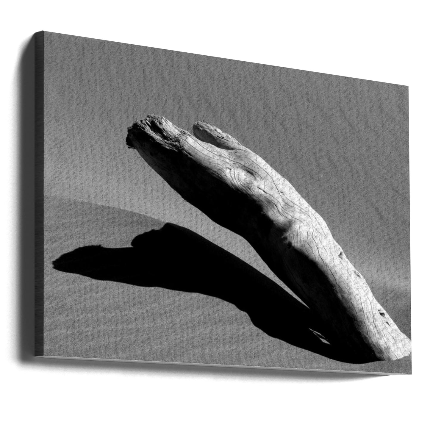 Daarom | Canvasprints