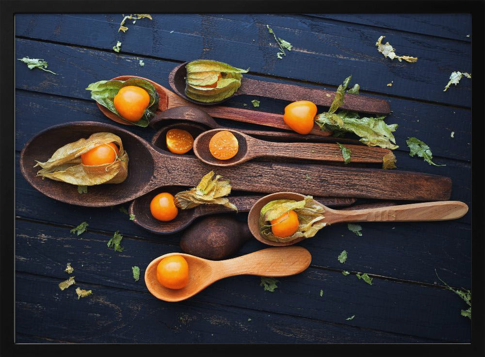Spoons&Physalis | Poster