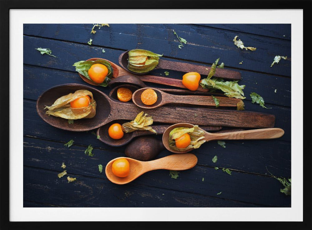 Spoons&Physalis | Poster