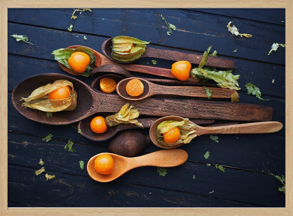Spoons&Physalis | Poster