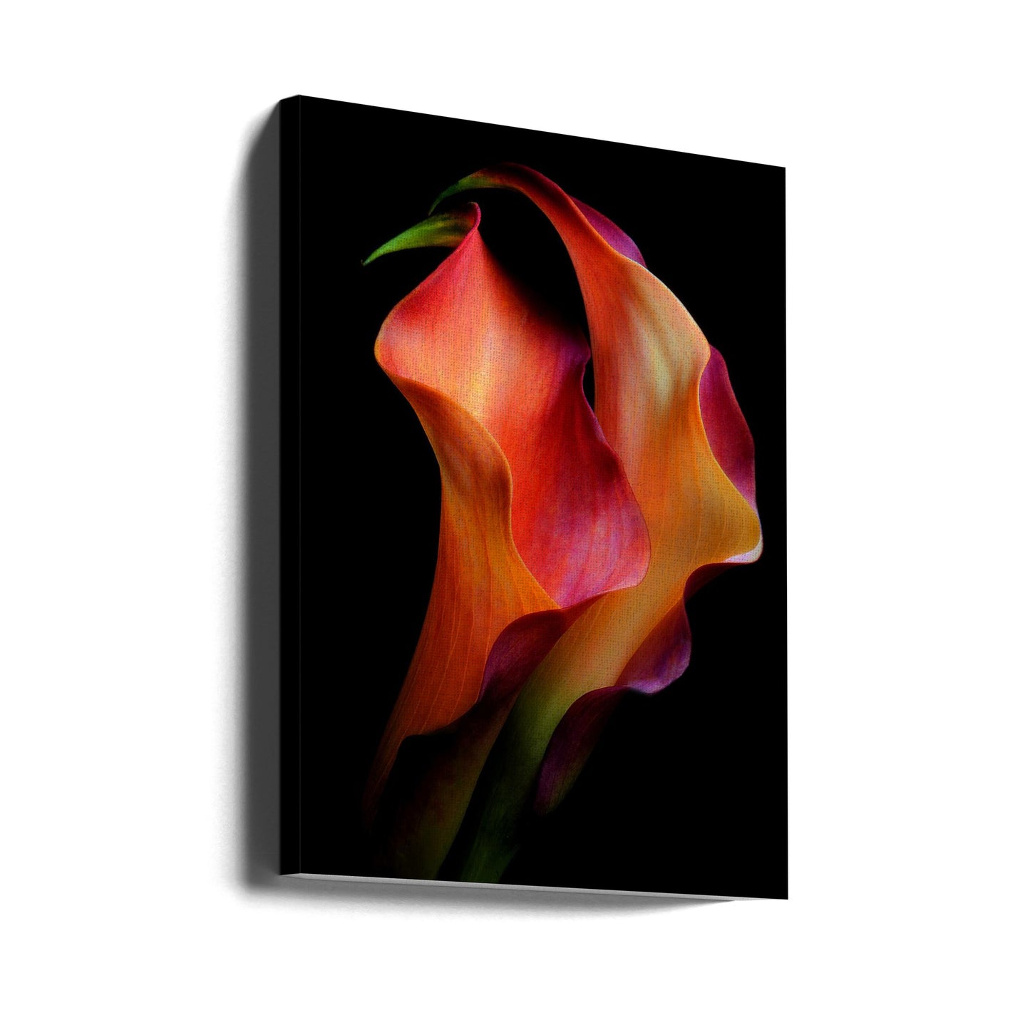 Tenderness | Canvas