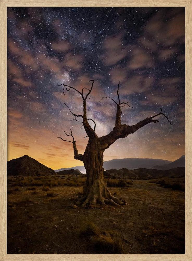 Lonely | Poster