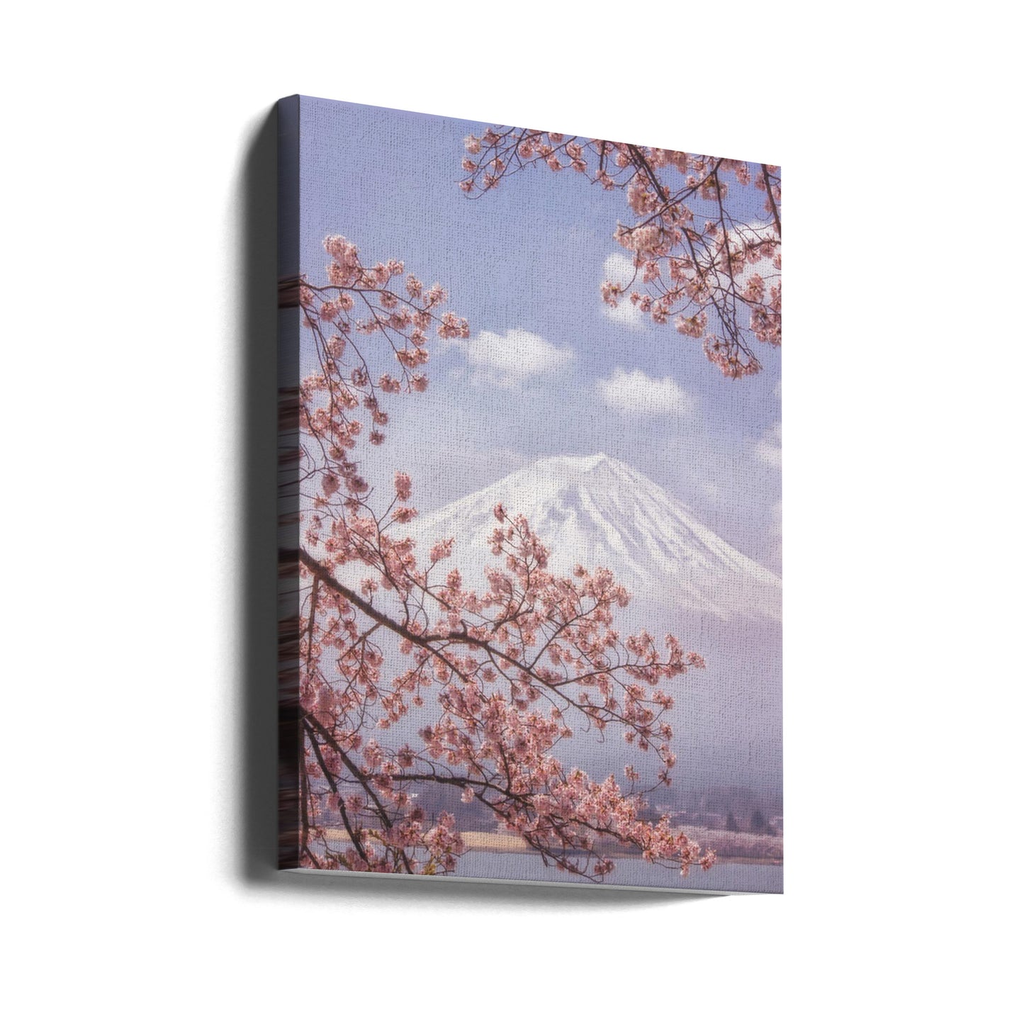 Der Fuji in der Kirschblüte | Leinwand-Bilder