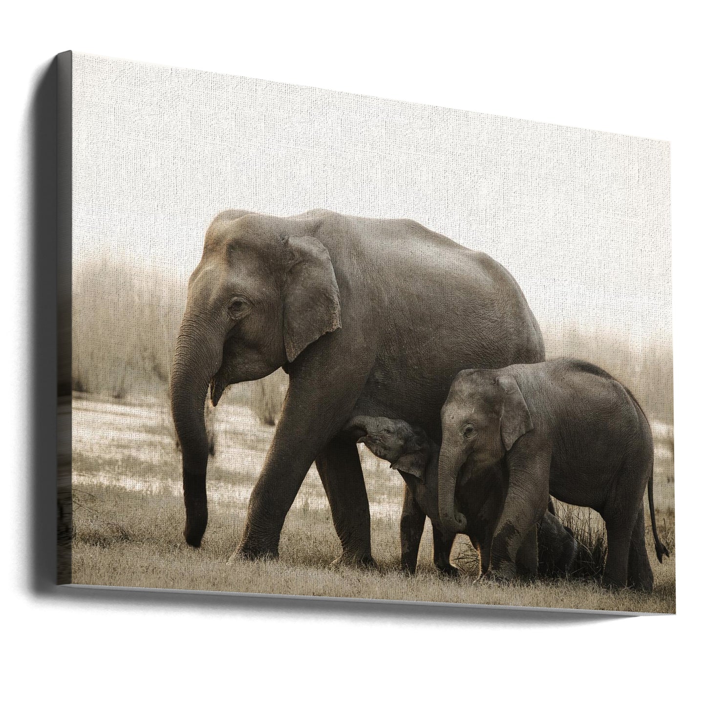 family portrait | Canvas