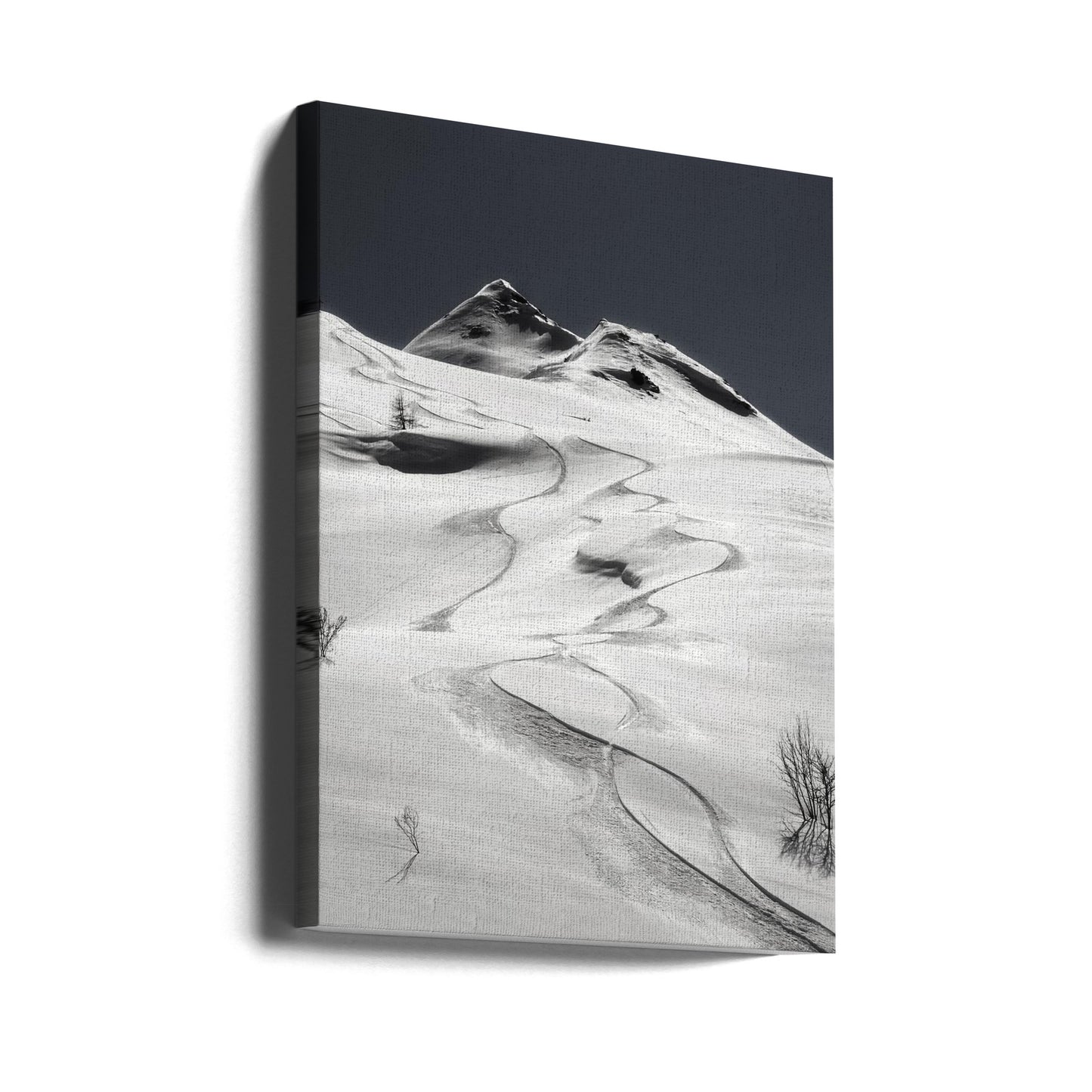 freeride | Tableaux sur Toile