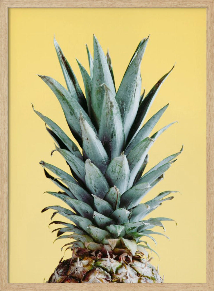 Ananas Keltainen 03 | Julisteet - Taidevedokset