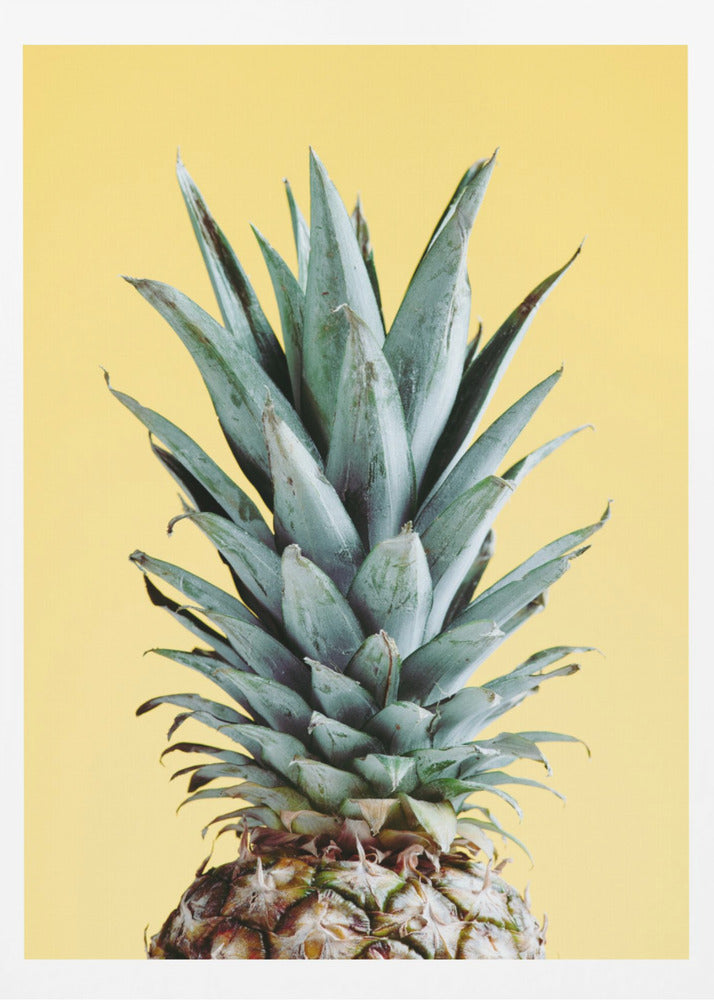 Ananas Keltainen 03 | Julisteet - Taidevedokset