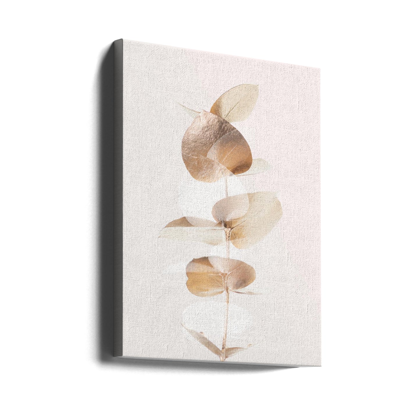 Eucalyptus Creative Gold 04 | Tableaux sur Toile