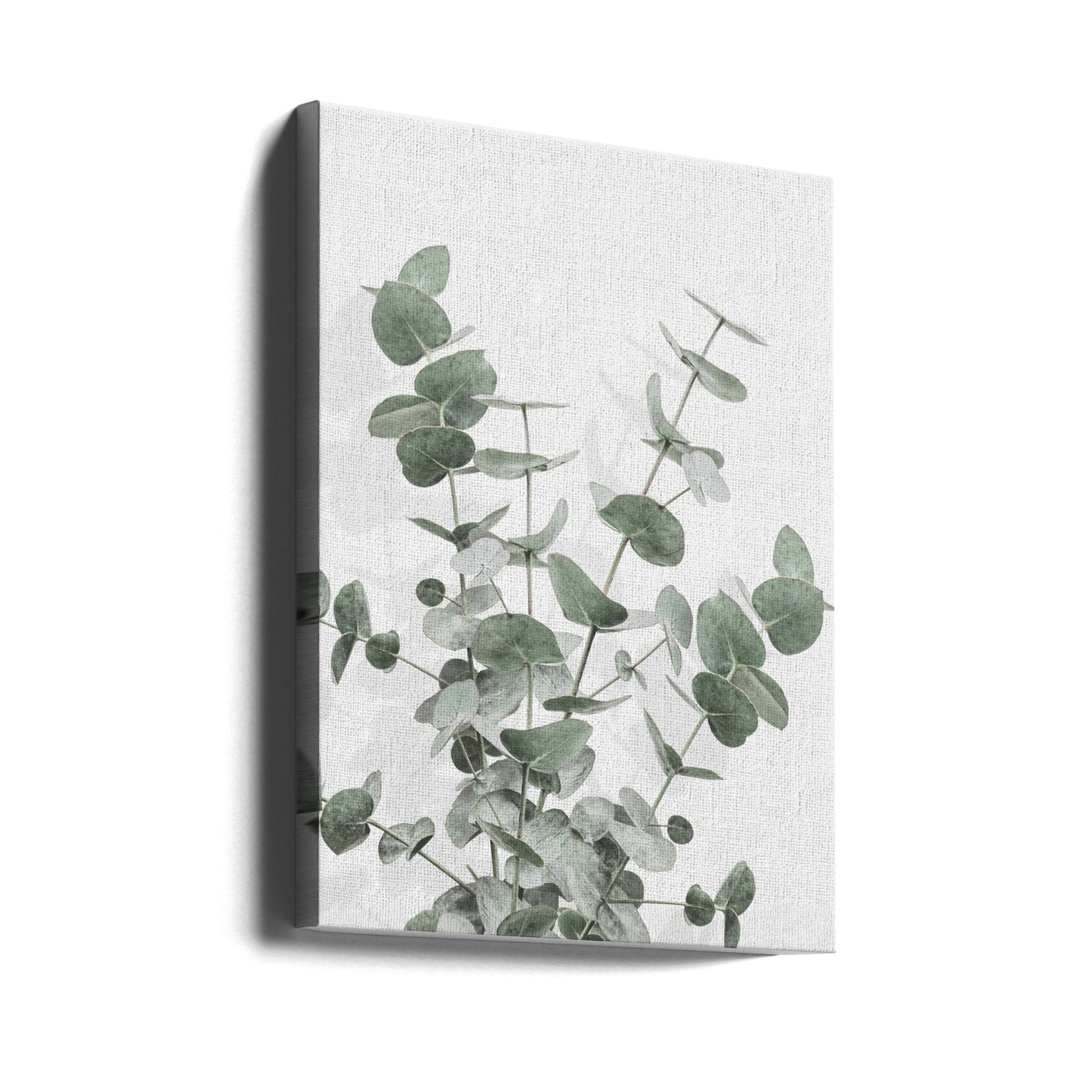 Eukalyptus Kreativ 16 | Lærredsbilleder