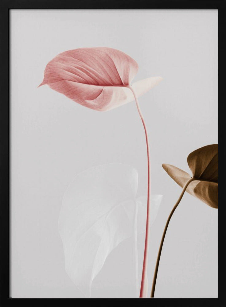 Monstera Creative 21 | Poster