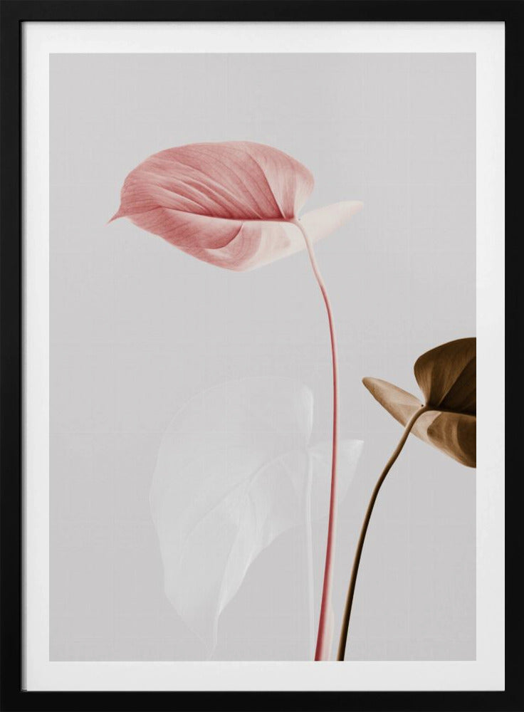 Monstera Creative 21 | Poster