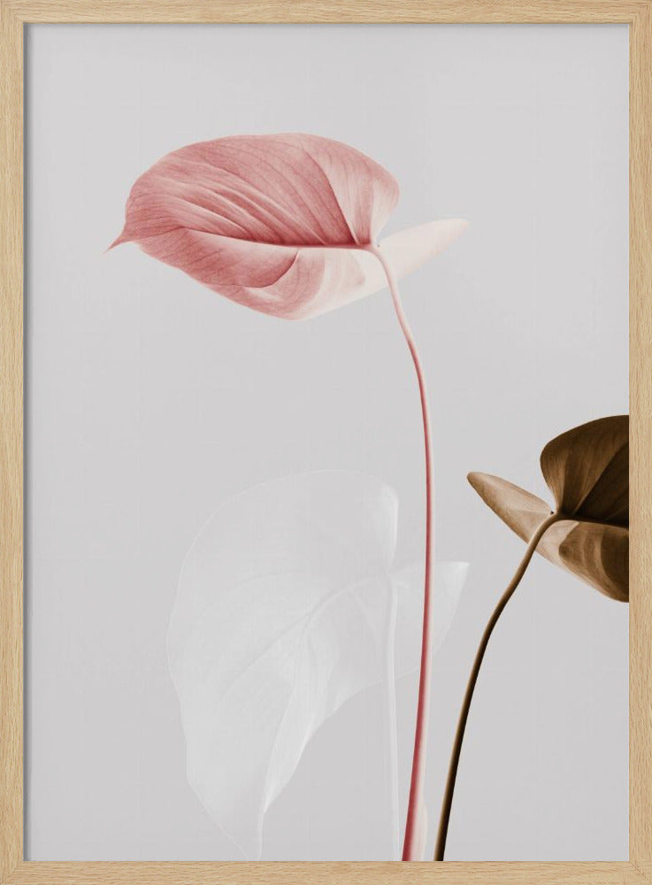 Monstera Creative 21 | Poster