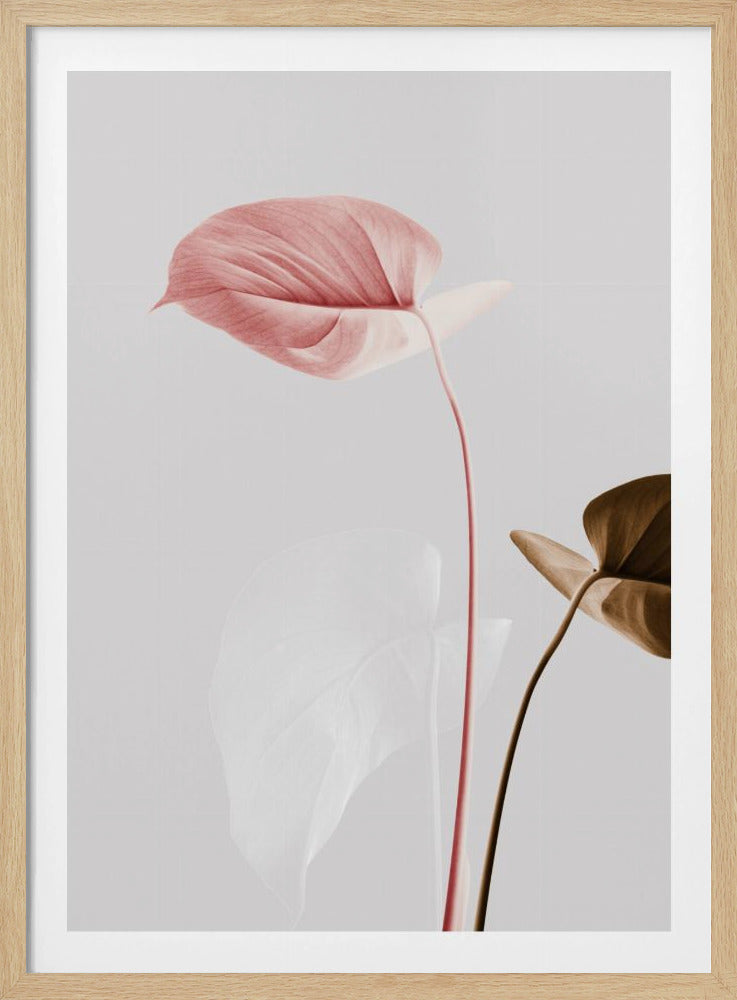 Monstera Creative 21 | Poster