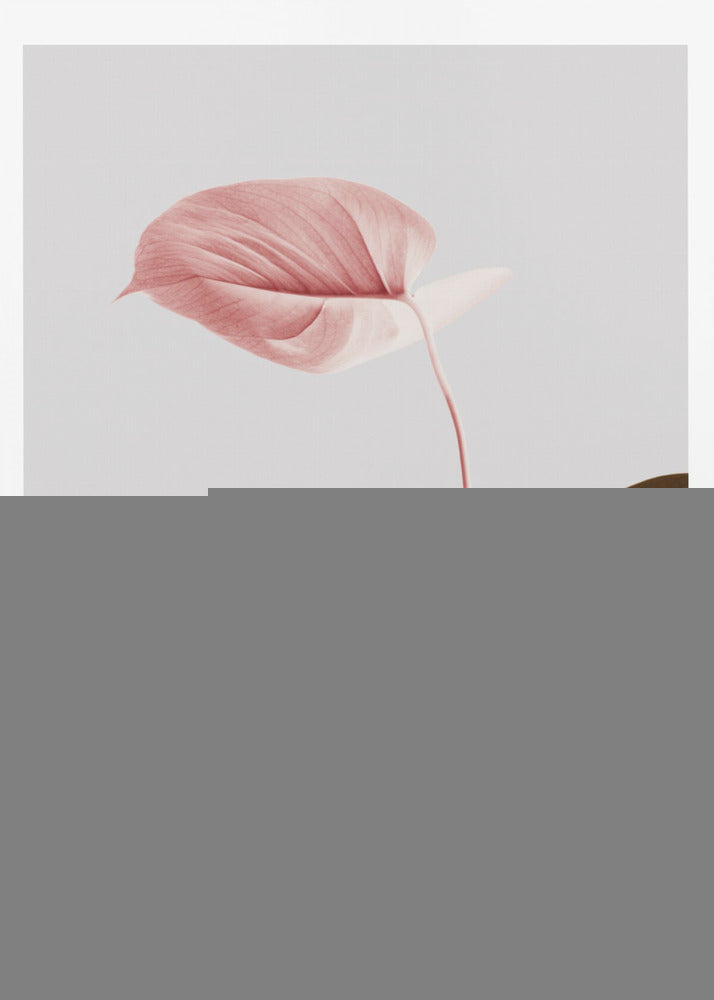 Monstera Creative 21 | Poster