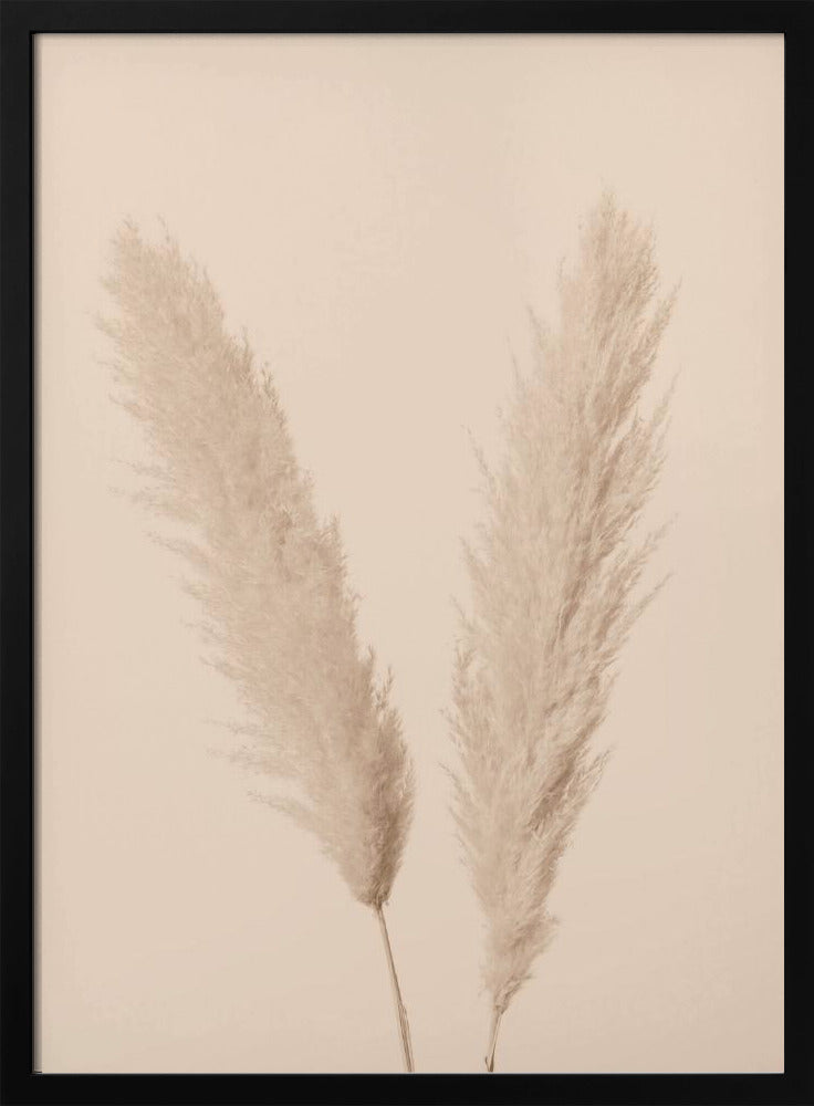 Pampas Grass Beige 01 | Poster