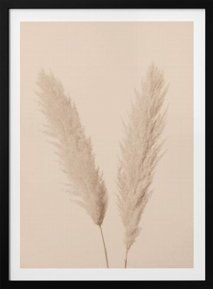 Pampas Grass Beige 01 | Poster