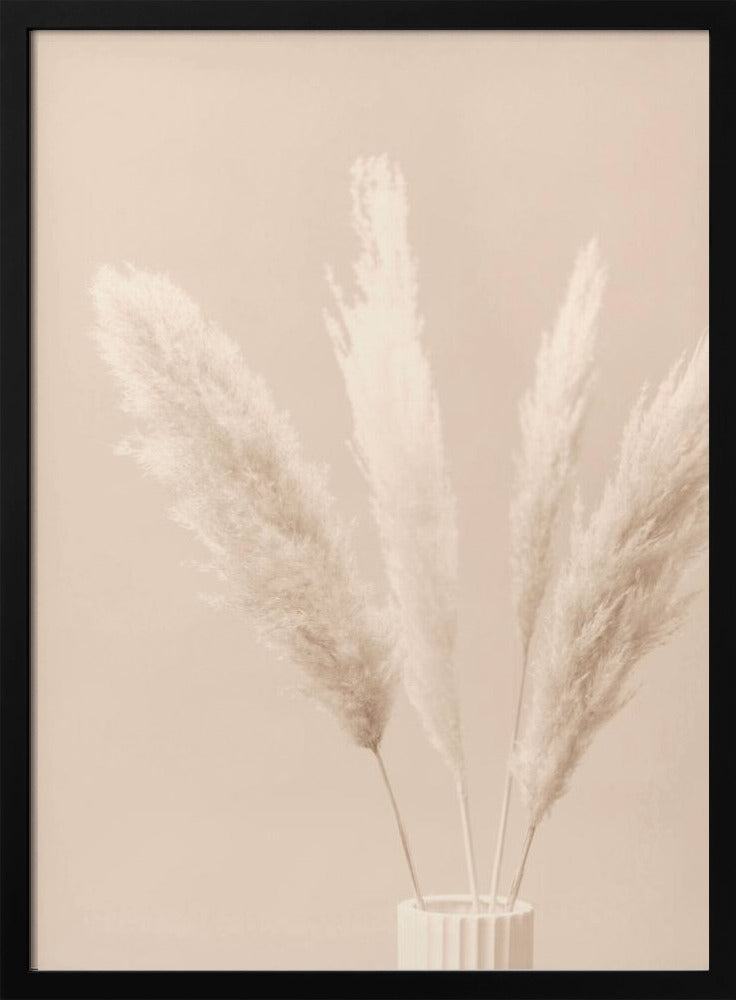Pampas Grass Beige 05 | Poster