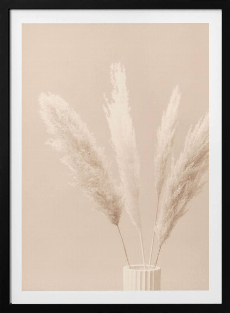 Pampas Grass Beige 05 | Poster