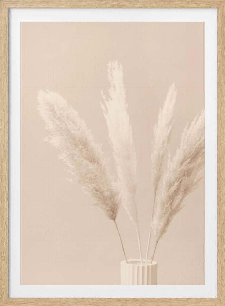 Pampas Grass Beige 05 | Poster