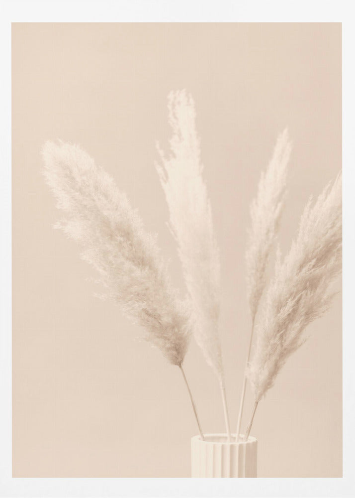 Pampas Grass Beige 05 | Poster