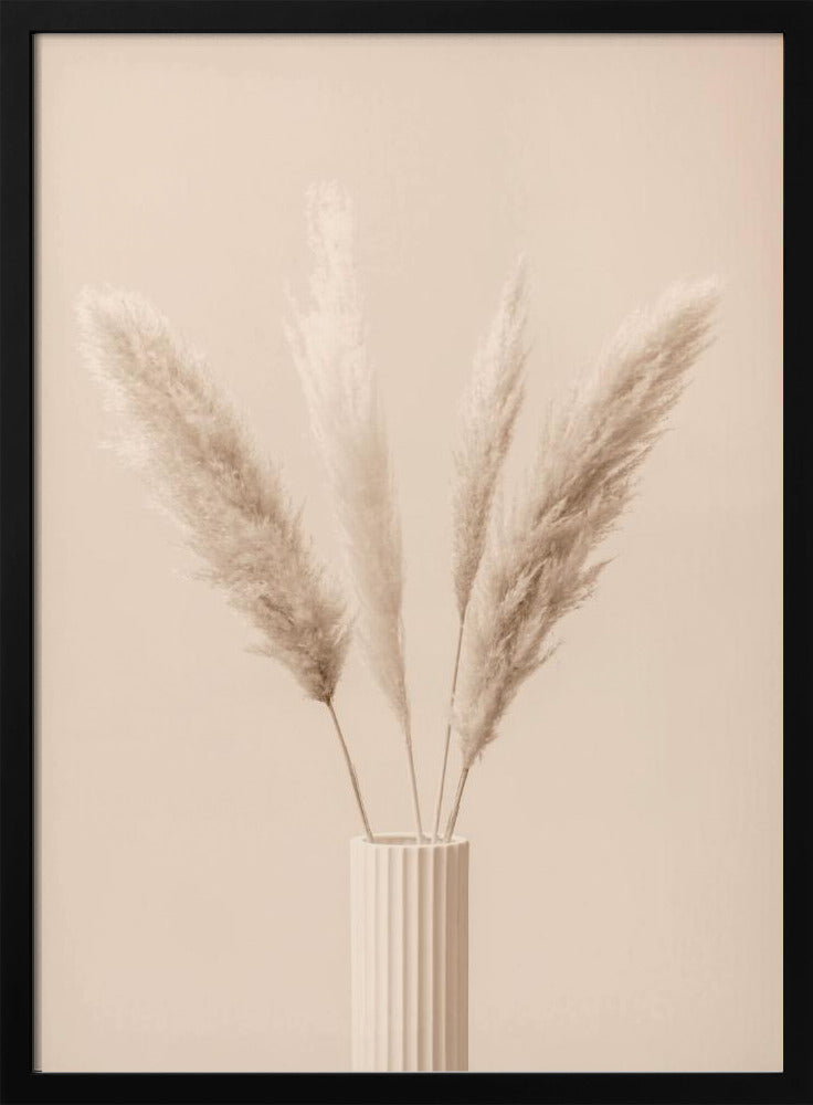 Pampas Grass Beige 09 | Poster