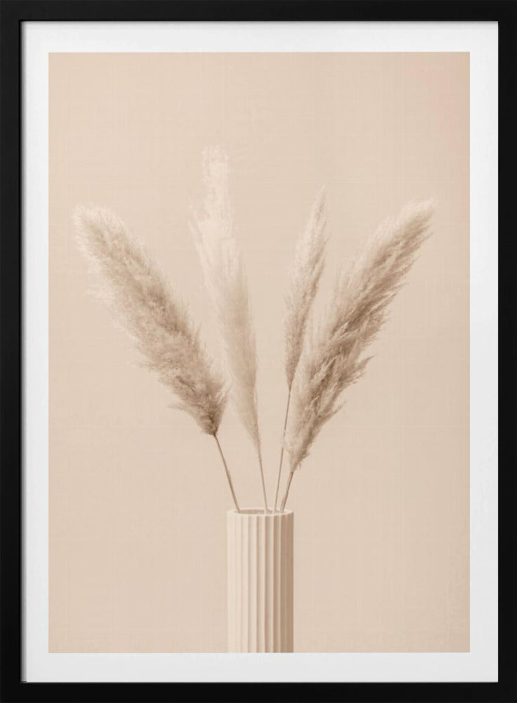 Pampas Grass Beige 09 | Poster