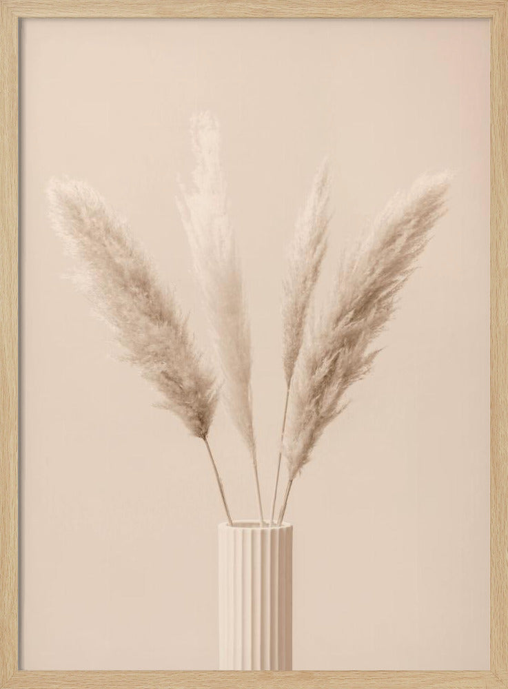 Pampas Grass Beige 09 | Poster
