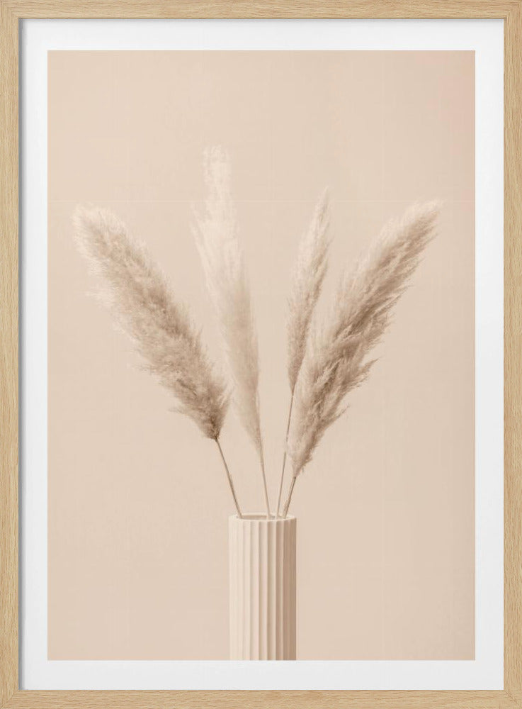 Pampas Grass Beige 09 | Poster