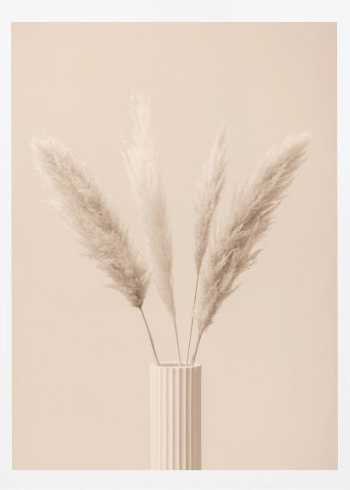 Pampas Grass Beige 09 | Poster