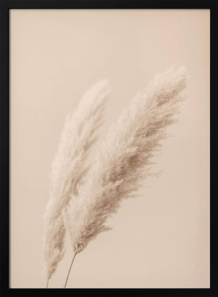 Pampas Grass Begie 15 | Poster