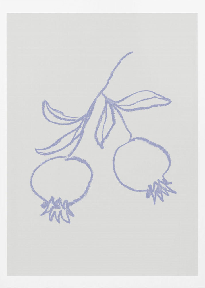 Granatapfel-Flieder | Poster - Kunstdruck