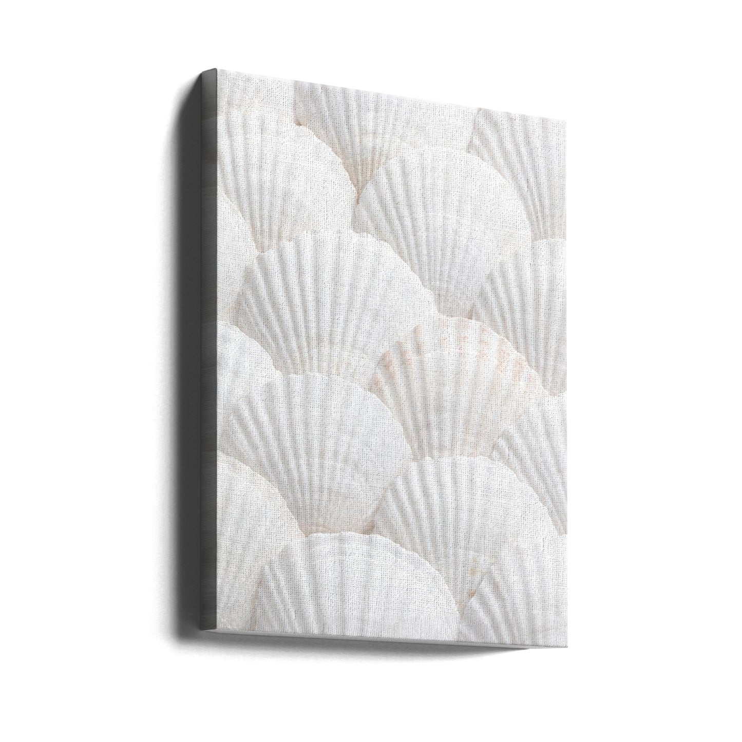 Shells_3 | Canvas