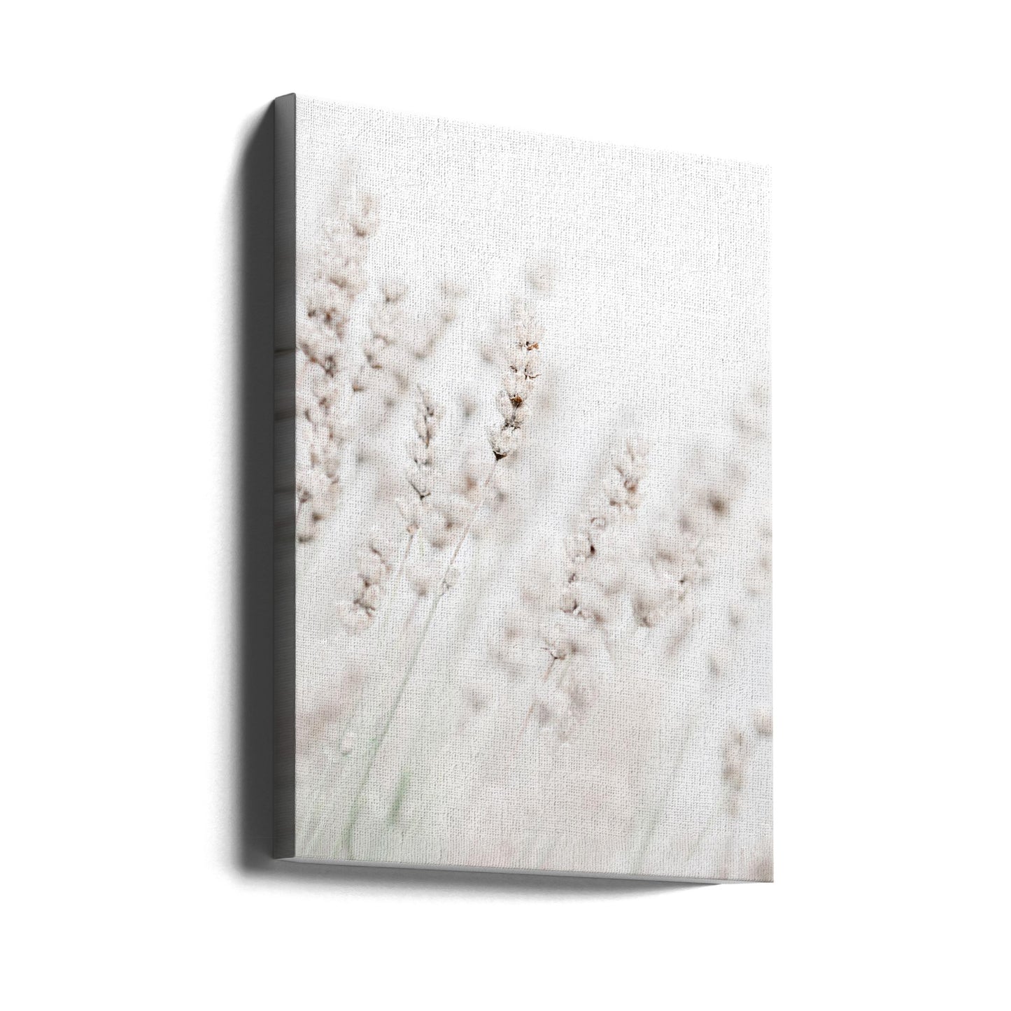 Grass straws | Canvas