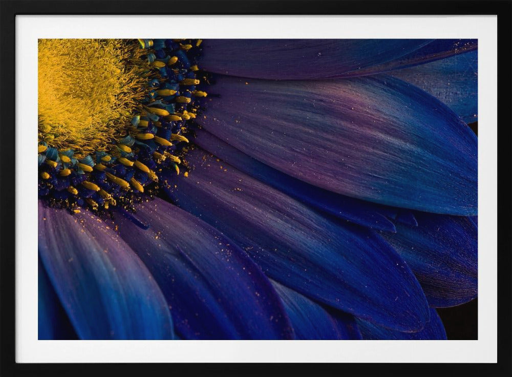 Rayons bleus | Posters - Affiche Artistique