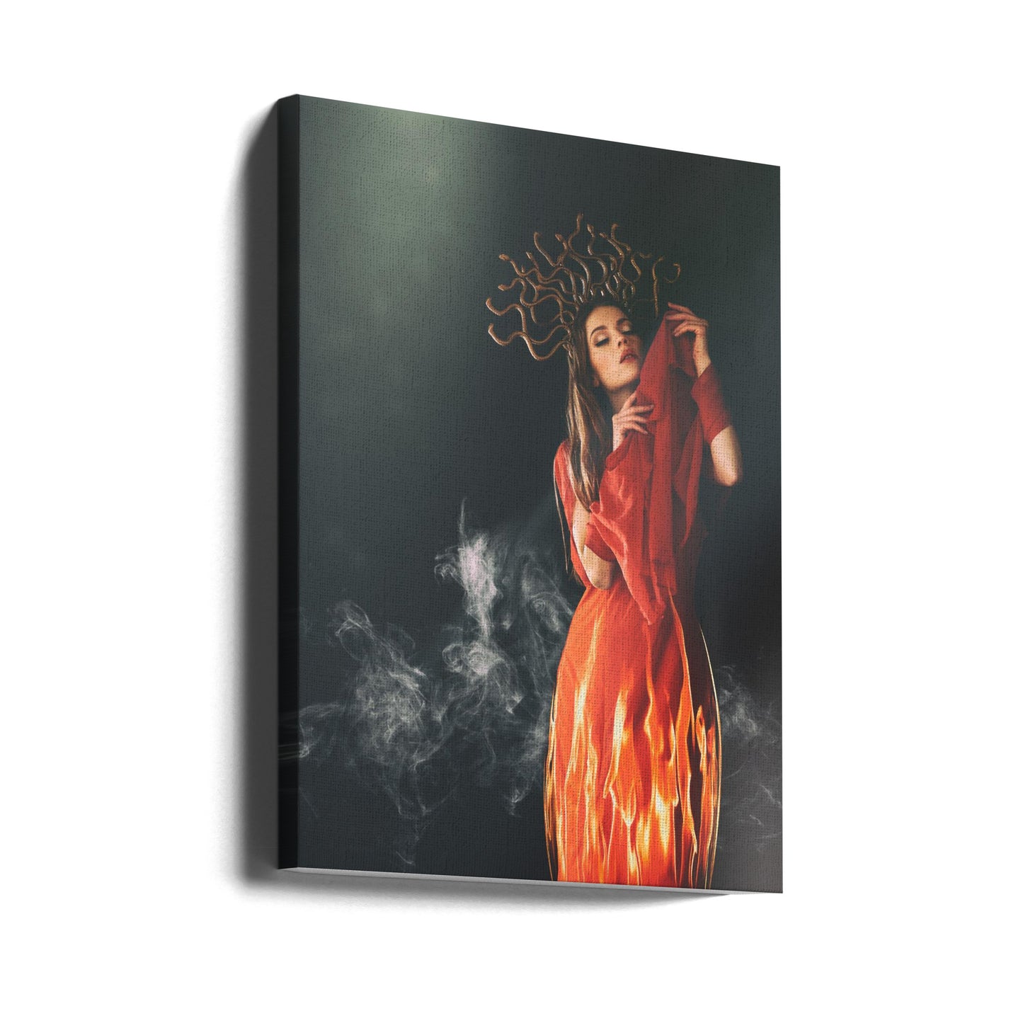 Medusa | Lerretsbilder