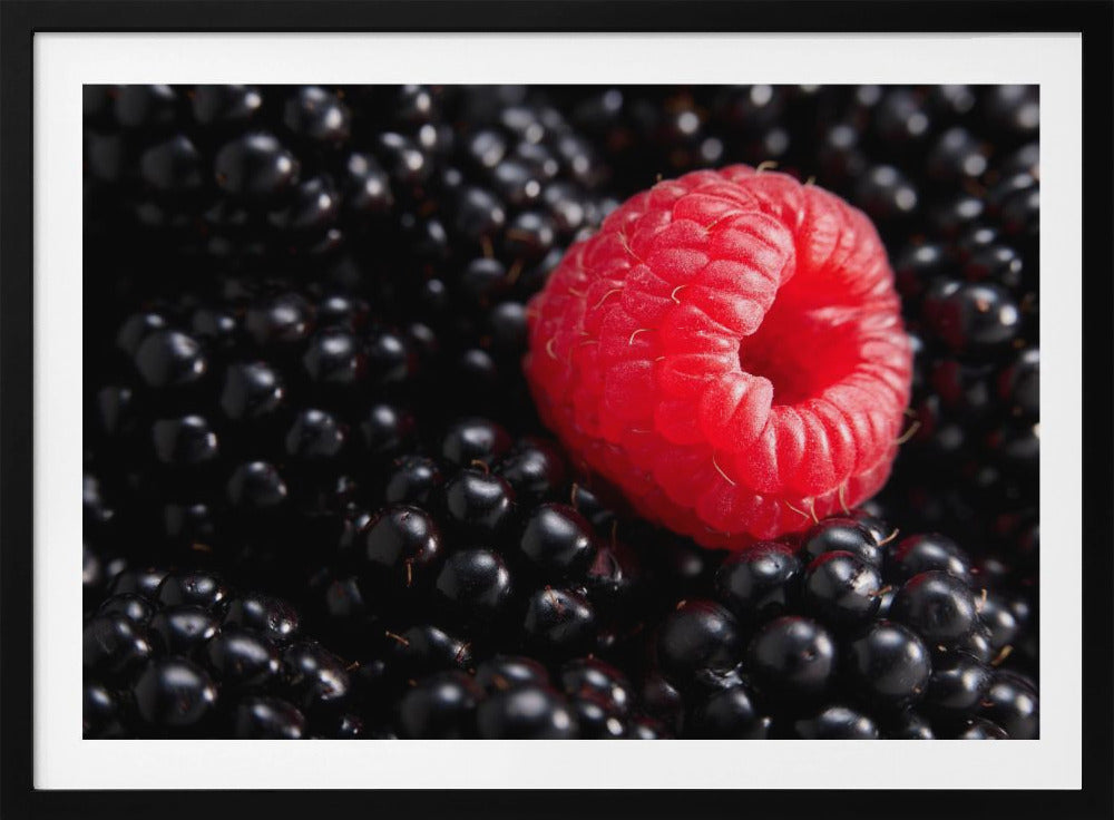 Berry different | Poster